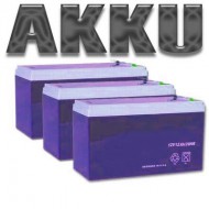 FORCA Akkupack 36V 12AH f�r RACEKING-1200EVO