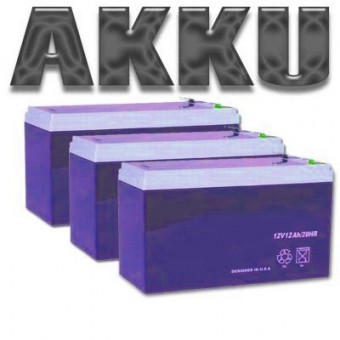 FORCA Akkupack 36V 12AH f�r RACEKING-1200EVO